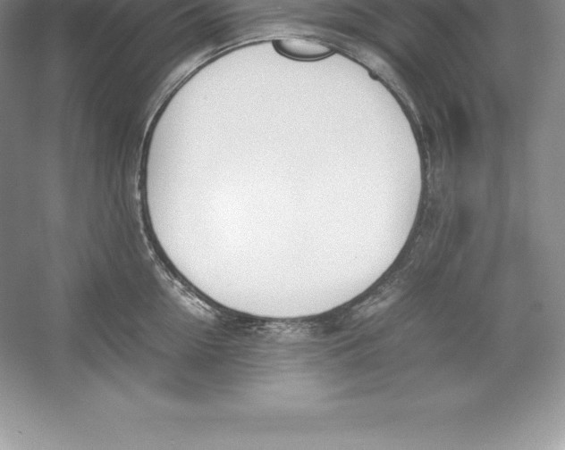 X0000052990954200508051104