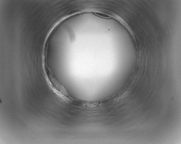 X0000052990955200508051104