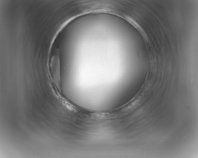 X0000052990956200508051104