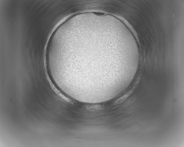 X0000052990957200508051104