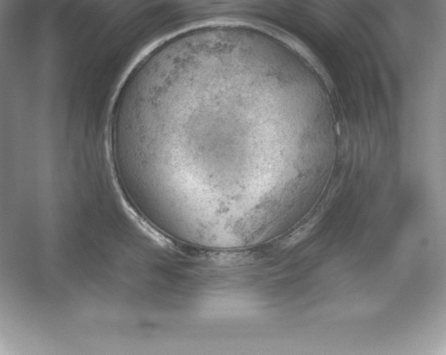 X0000052990958200508051104