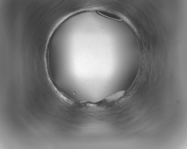 X0000052990959200508051104