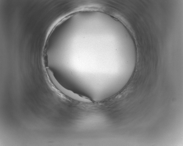 X0000052990960200508051104