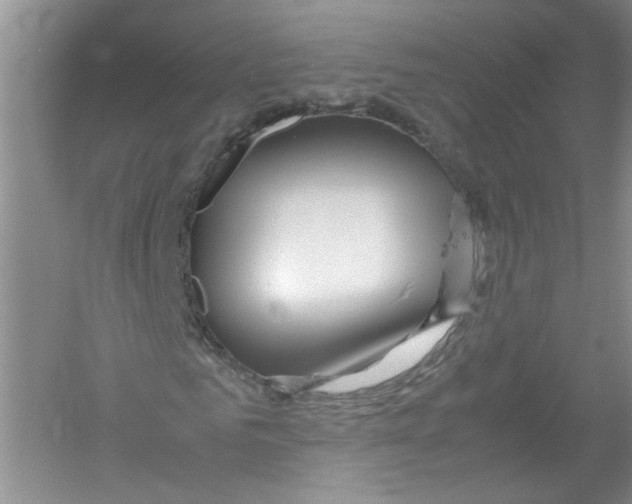 X0000052990961200508051103