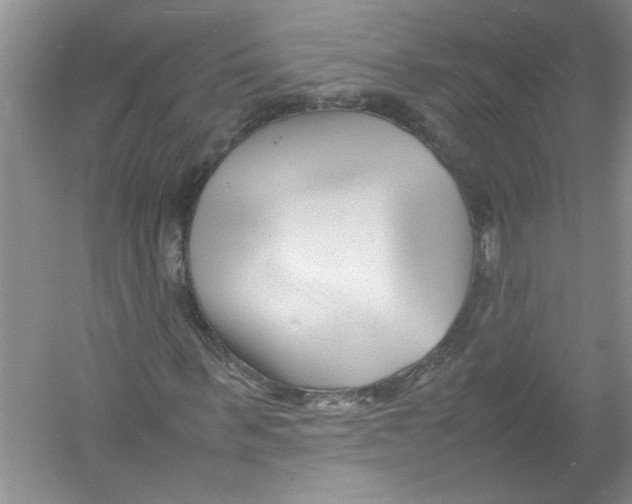 X0000052990963200508051103