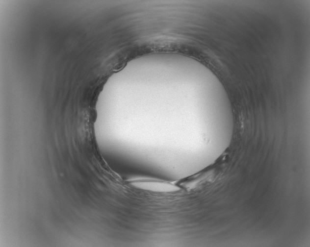 X0000052990964200508051103