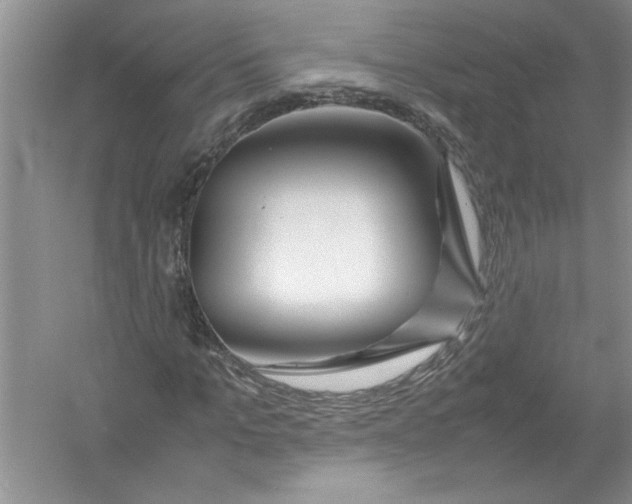 X0000052990965200508051103