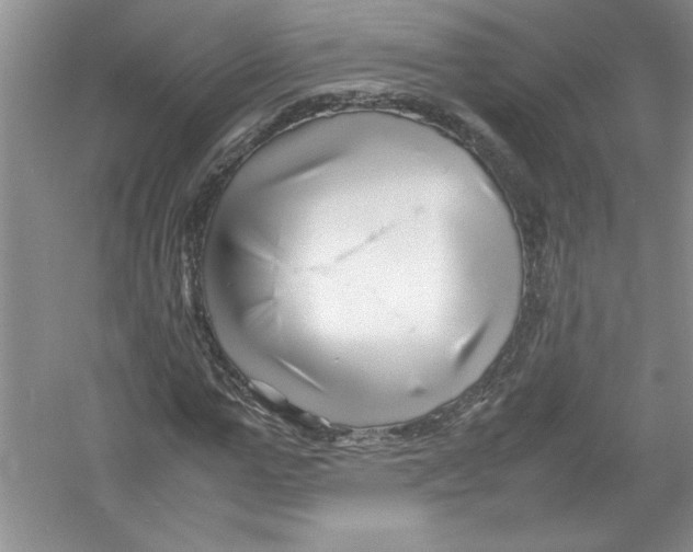 X0000052990967200508051103