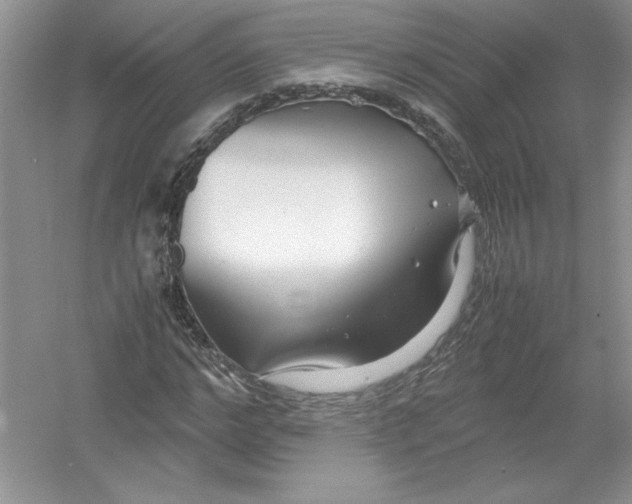 X0000052990968200508051103