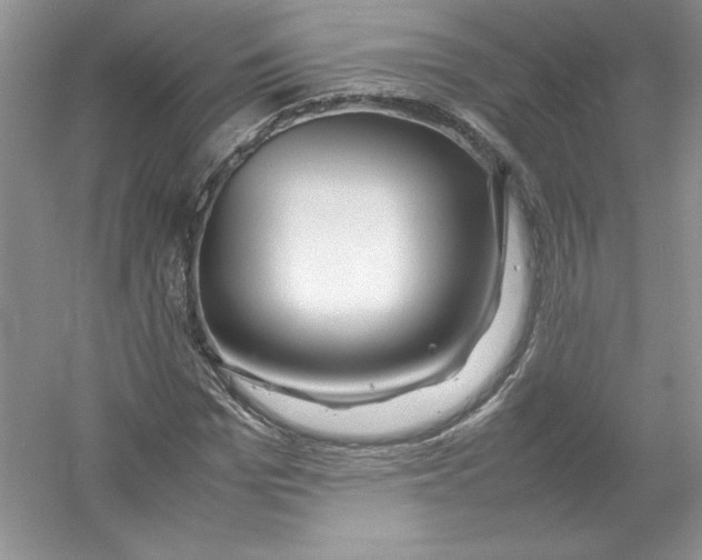 X0000052990969200508051103