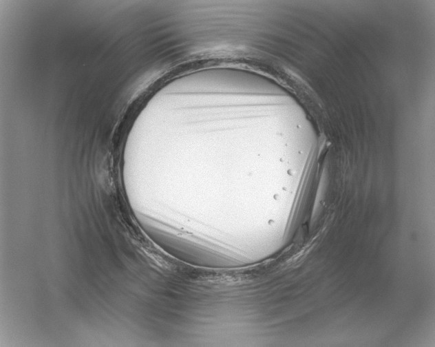 X0000052990970200508051103