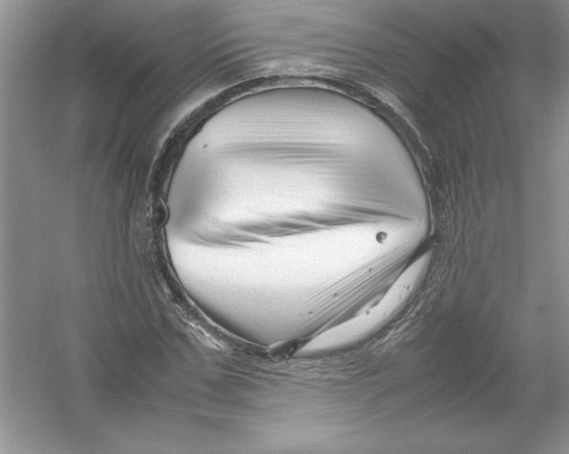 X0000052990971200508051103