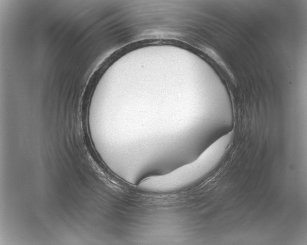 X0000052990972200508051103