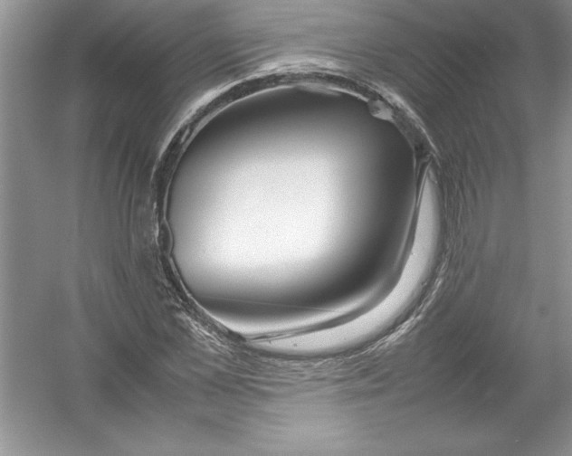 X0000052990973200508051103