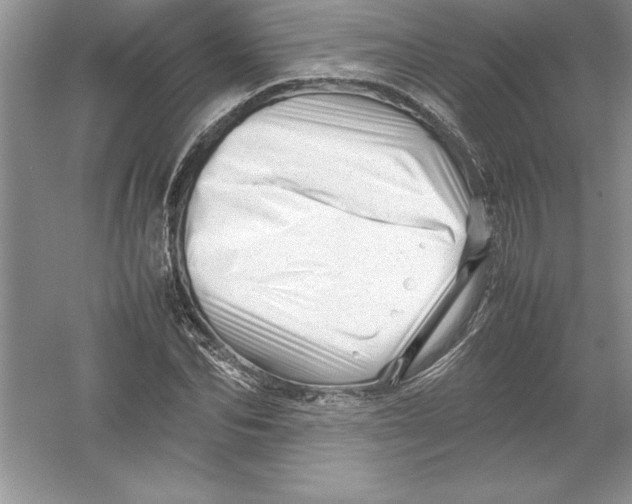 X0000052990974200508051103