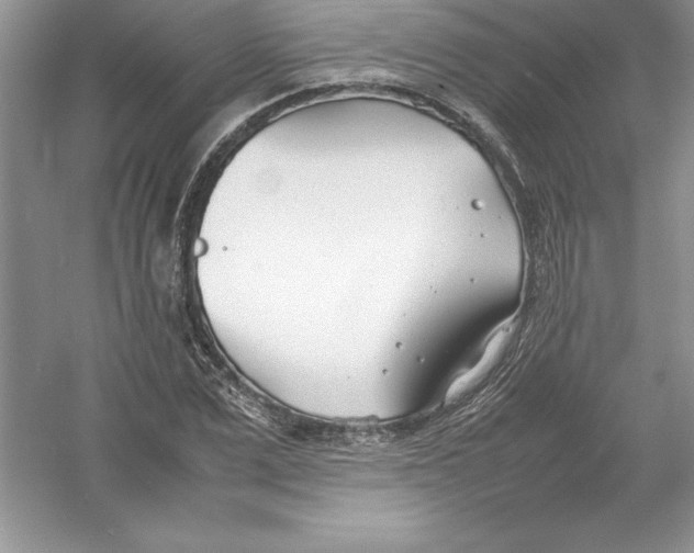 X0000052990975200508051103