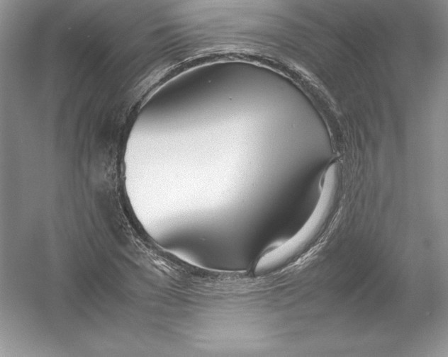 X0000052990977200508051103