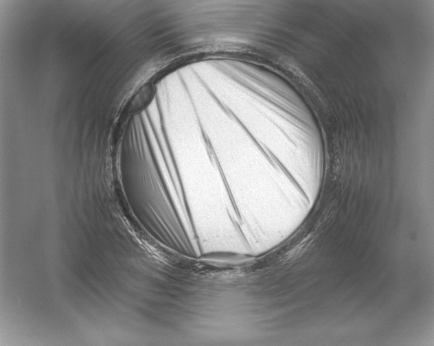 X0000052990978200508051103