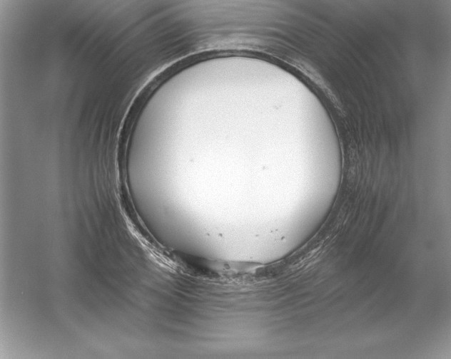 X0000052990980200508051103