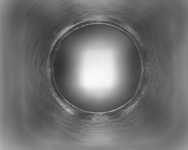 X0000052990981200508051103