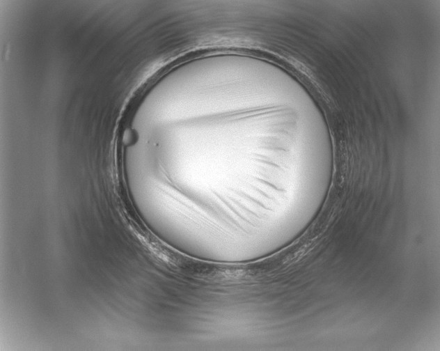 X0000052990982200508051103