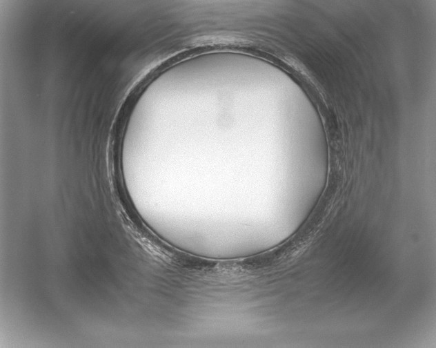 X0000052990983200508051103