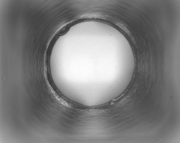 X0000052990984200508051103