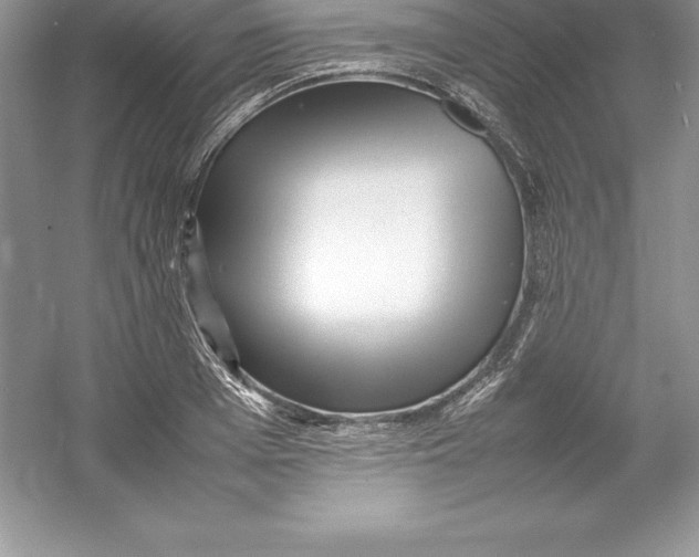 X0000052990985200508051103