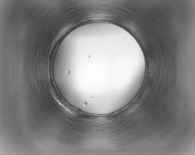 X0000052990986200508051103