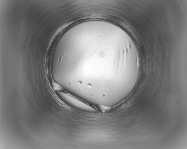 X0000052990987200508051103