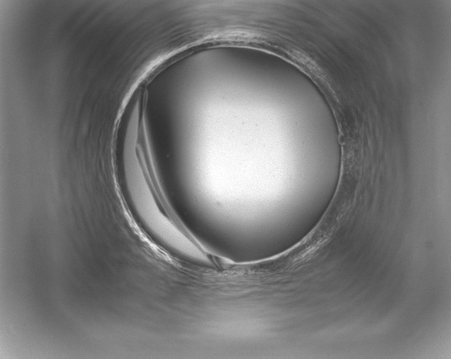 X0000052990989200508051103