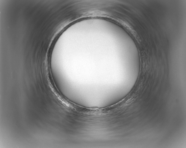 X0000052990990200508051103