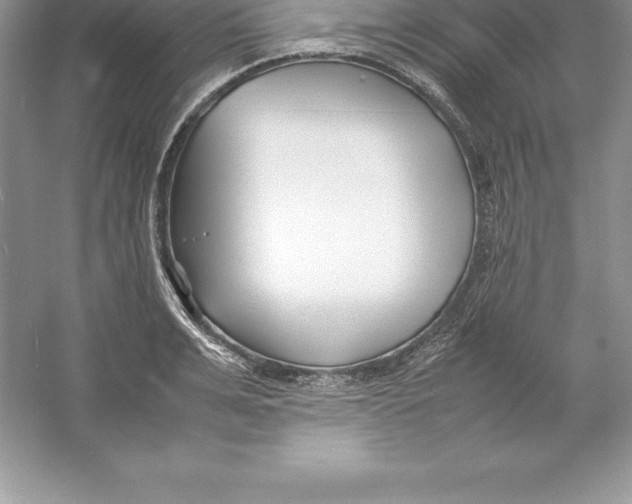 X0000052990991200508051103