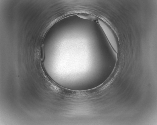 X0000052990993200508051103