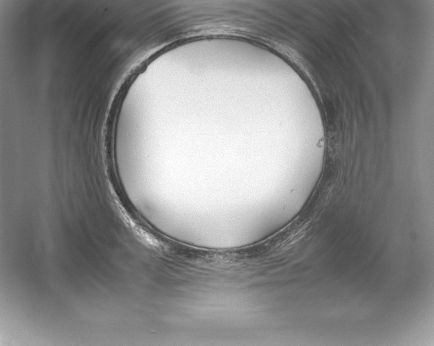 X0000052990995200508051103