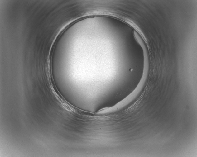 X0000052990996200508051103