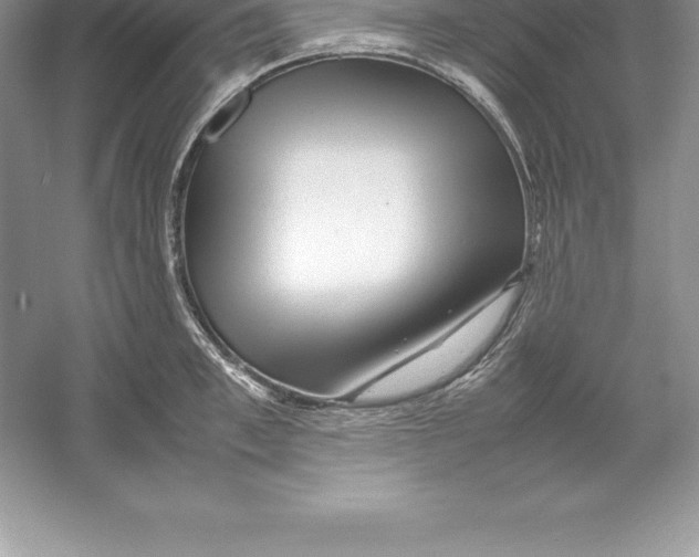 X0000052990997200508051103