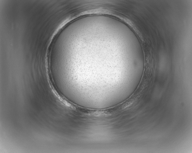 X0000052990998200508051103