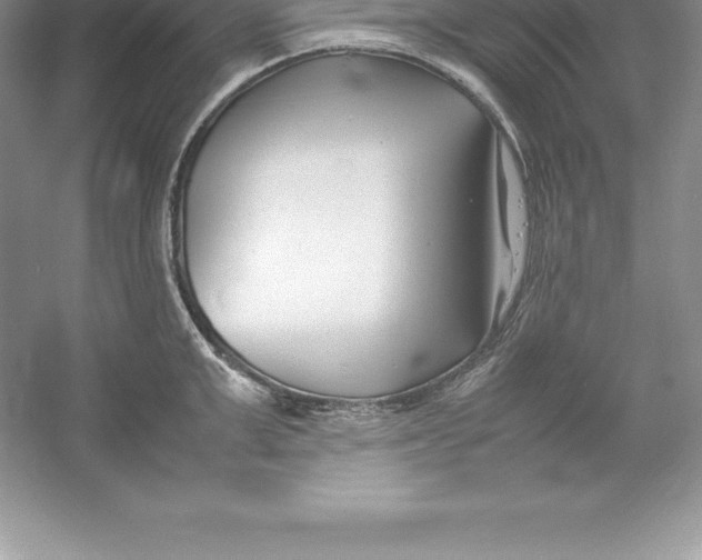 X0000052990999200508051103