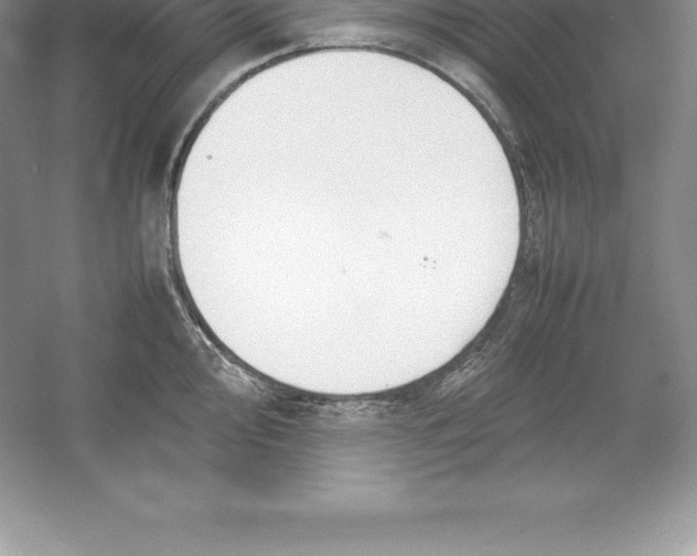 X0000052991000200508051103