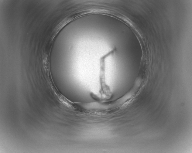 X0000052991001200508051103