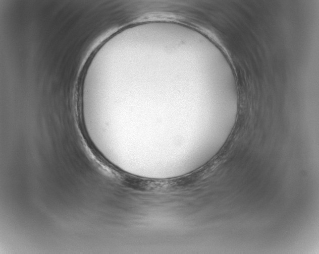 X0000052991003200508051103