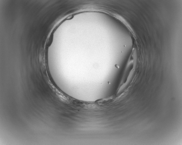 X0000052991004200508051103