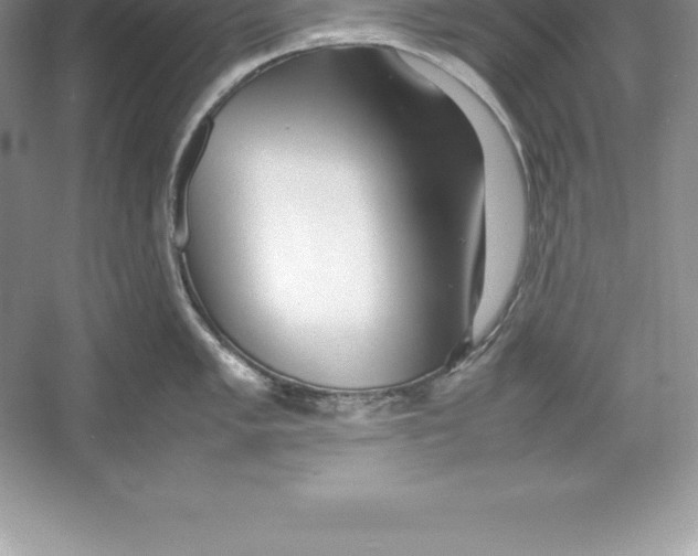 X0000052991005200508051103