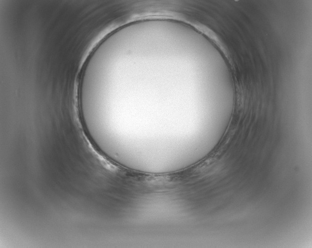 X0000052991006200508051103