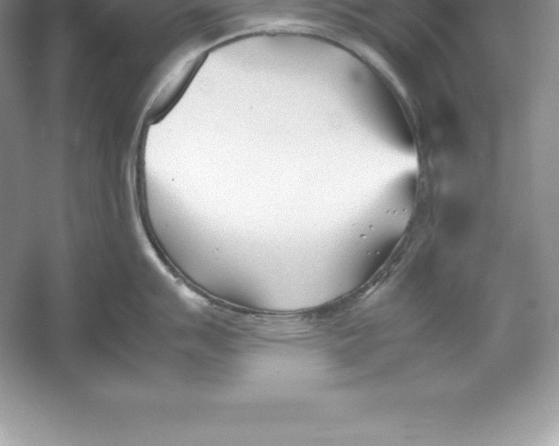 X0000052991007200508051103