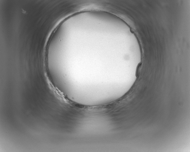 X0000052991008200508051103