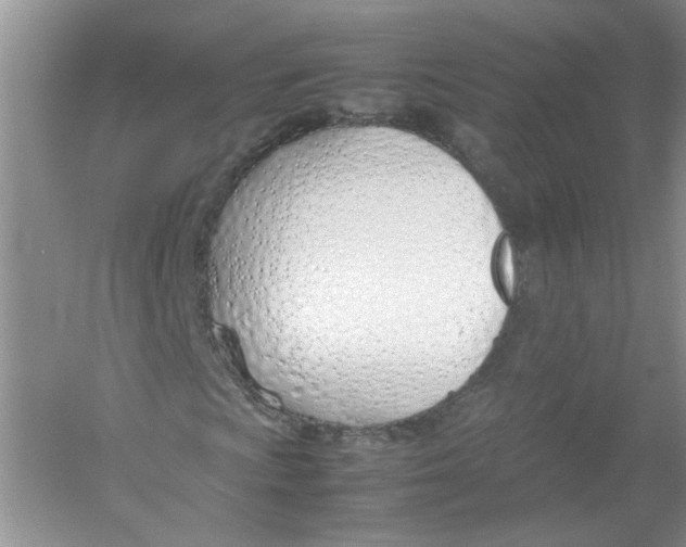 X0000052991009200508051102