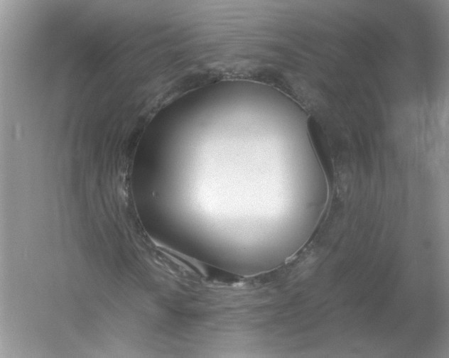 X0000052991010200508051102