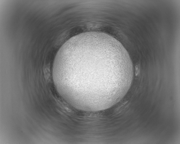 X0000052991011200508051102